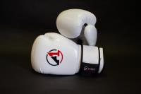 A1 Fight Gear image 16